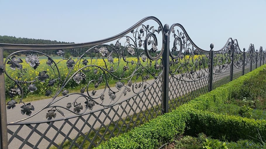 sa, mkl, pos, plant, fence, nature, railing, sky, boundary HD wallpaper