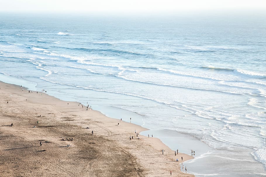 people by the beach during daytime, group of peoples near body of water during daytime HD wallpaper