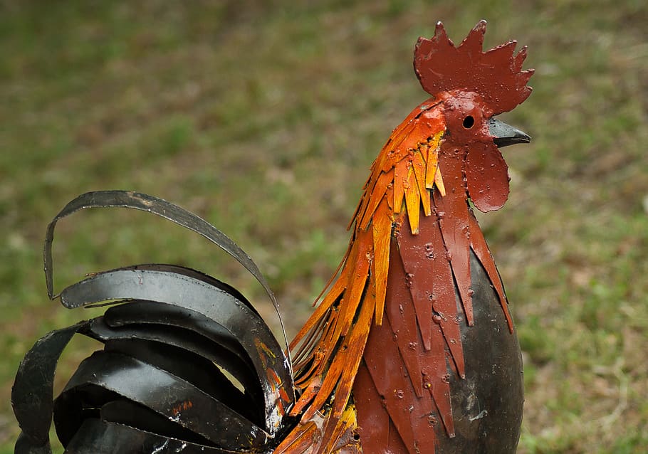 cock, ironwork, metal, animal themes, bird, focus on foreground HD wallpaper