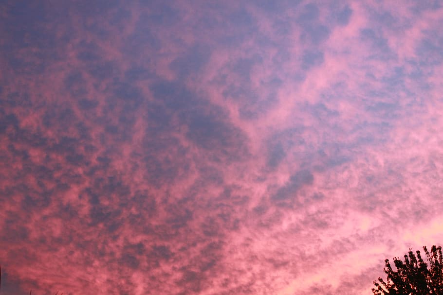 night sky, sunset, summer night, pink color, beauty in nature HD wallpaper