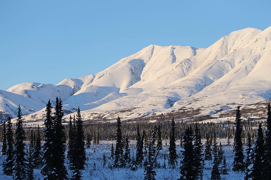 Alaska, Mountain, White, Cold, Winter, snow, scenic, wilderness HD wallpaper