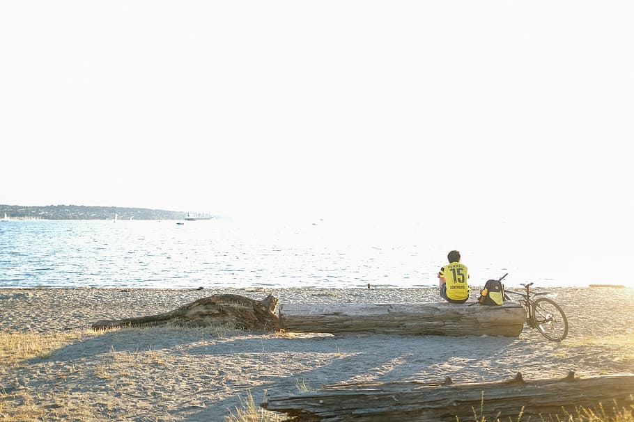 person sitting on shore, man, lumber, near, ocean, sea, water HD wallpaper