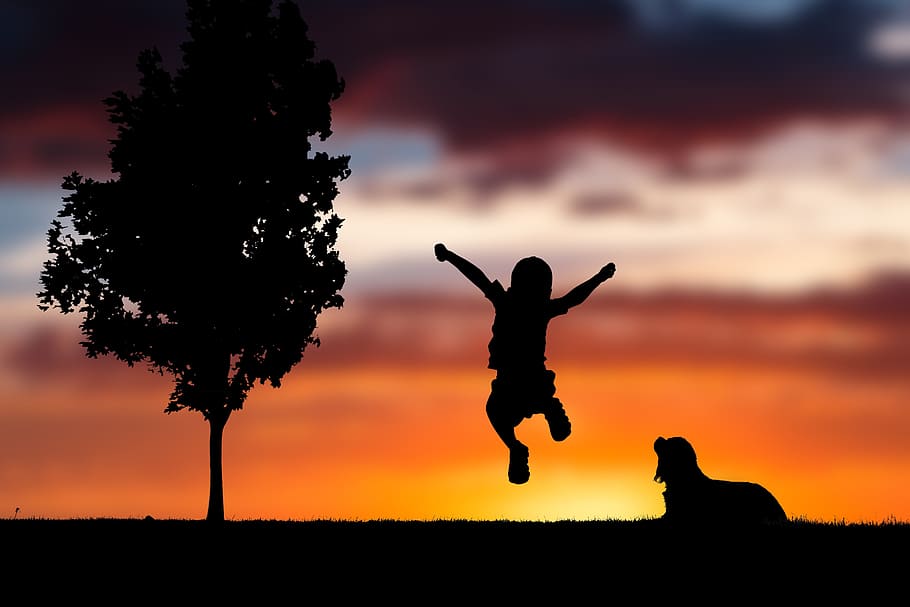 silhouette photo of girl jumping beside tree wallpaper, sky HD wallpaper
