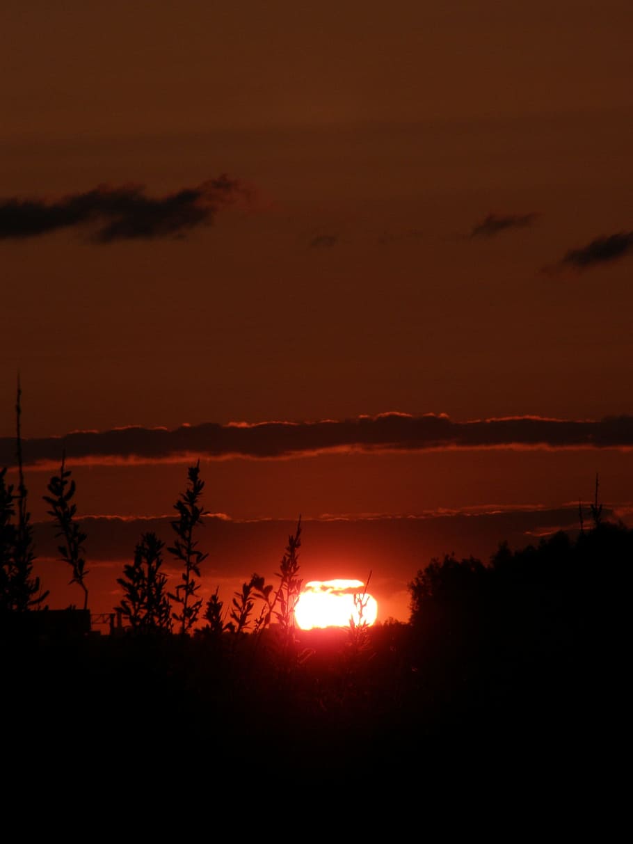 Sunset, Sunrise, Landscape, sky, outdoor, dusk, dawn, orange HD wallpaper