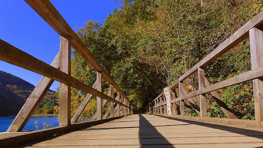 Bridge, Heimbach, Autumn, bridge - man made structure, tree HD wallpaper