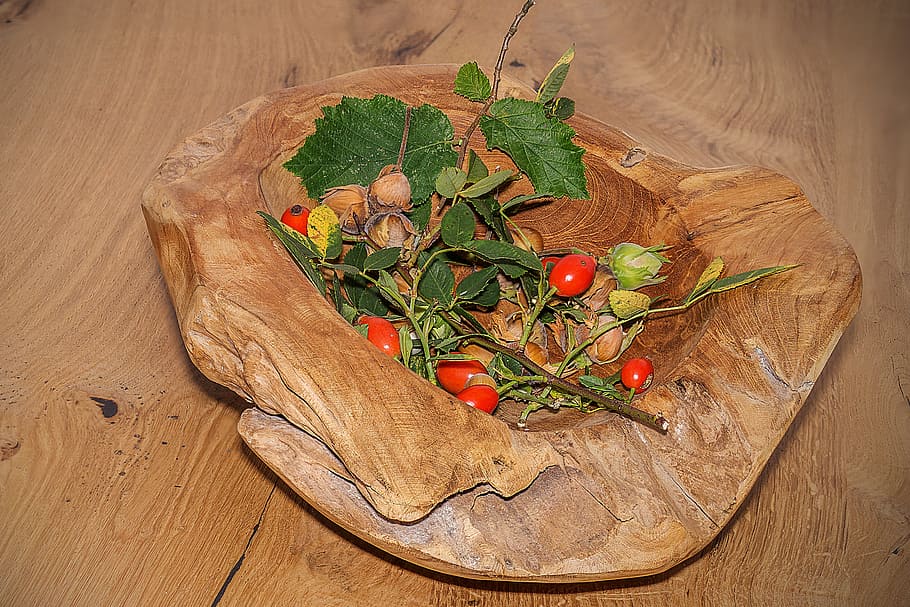 wood, nuts, shell, rose hip, still life, nature, food and drink HD wallpaper