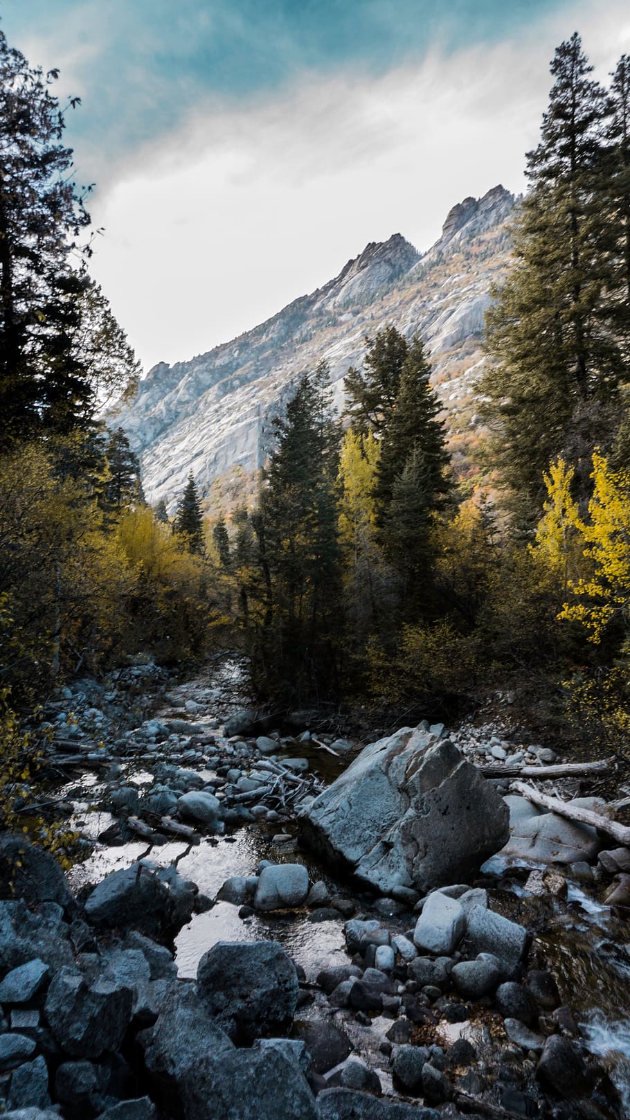 river, water, rocks, green, trees, grass, plant, nature, autumn HD wallpaper
