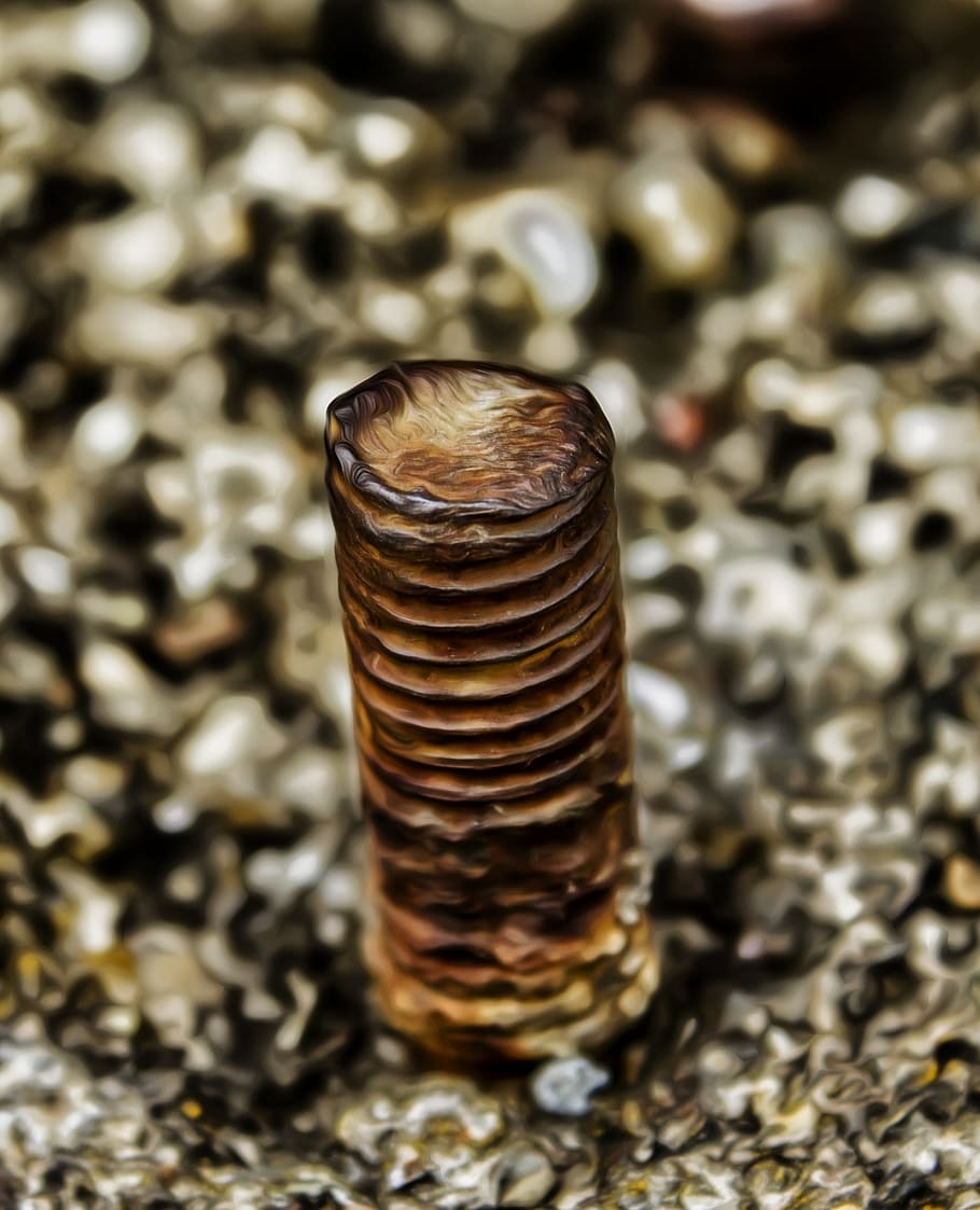 thread, pin, stainless, iron, old, screw, metal, no people HD wallpaper