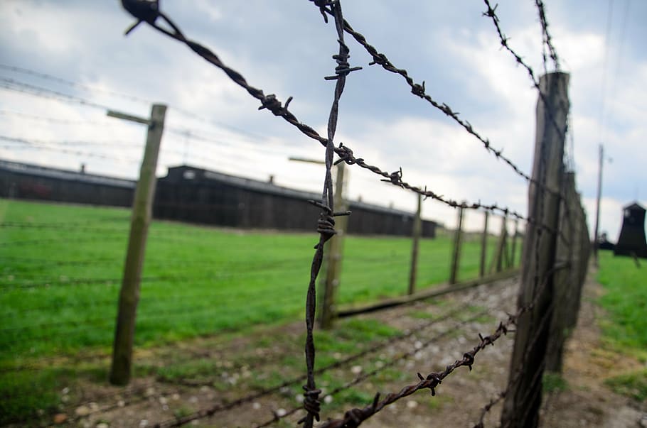 brown wooden framed barbwire on pathway, fence, holocaust, crematorium, HD wallpaper