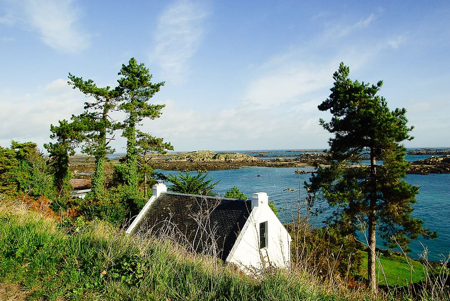 normandy, chausey island, rocks, plant, water, sky, tree, cloud - sky HD wallpaper