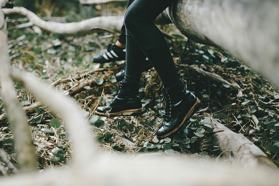 person sitting on tree log, photo of person sitting on tree trunk HD wallpaper