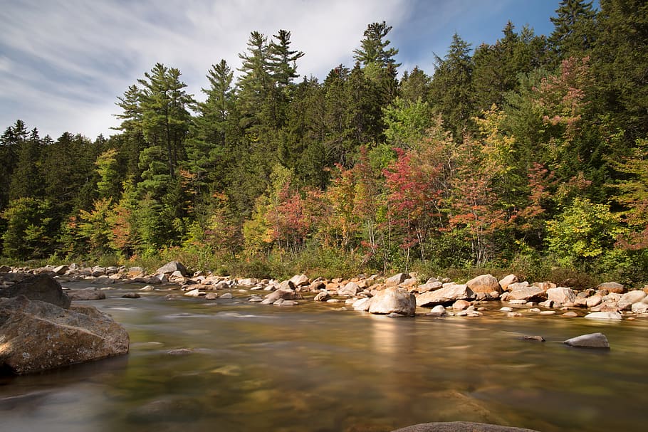 nature, water, rocks, forest, autumn, daylight, fall, outdoors HD wallpaper