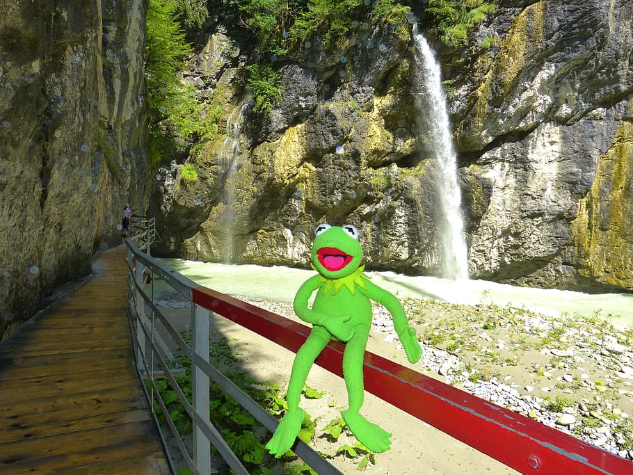 aare, clammy, kermit, frog, gorge, away, web, river, water HD wallpaper