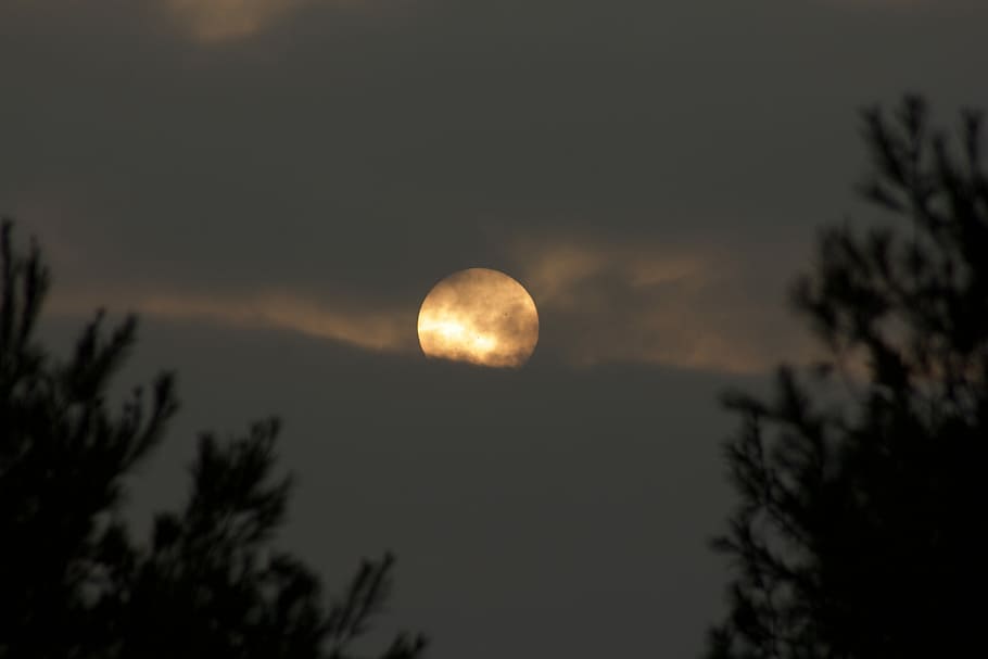 The Sun Behind the Clouds, full moon covering clouds, lunar, tree HD wallpaper