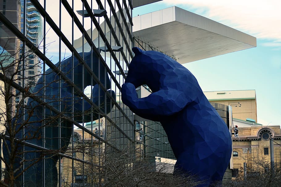 bear statue infront of building, blue, denver, monument, landmark HD wallpaper