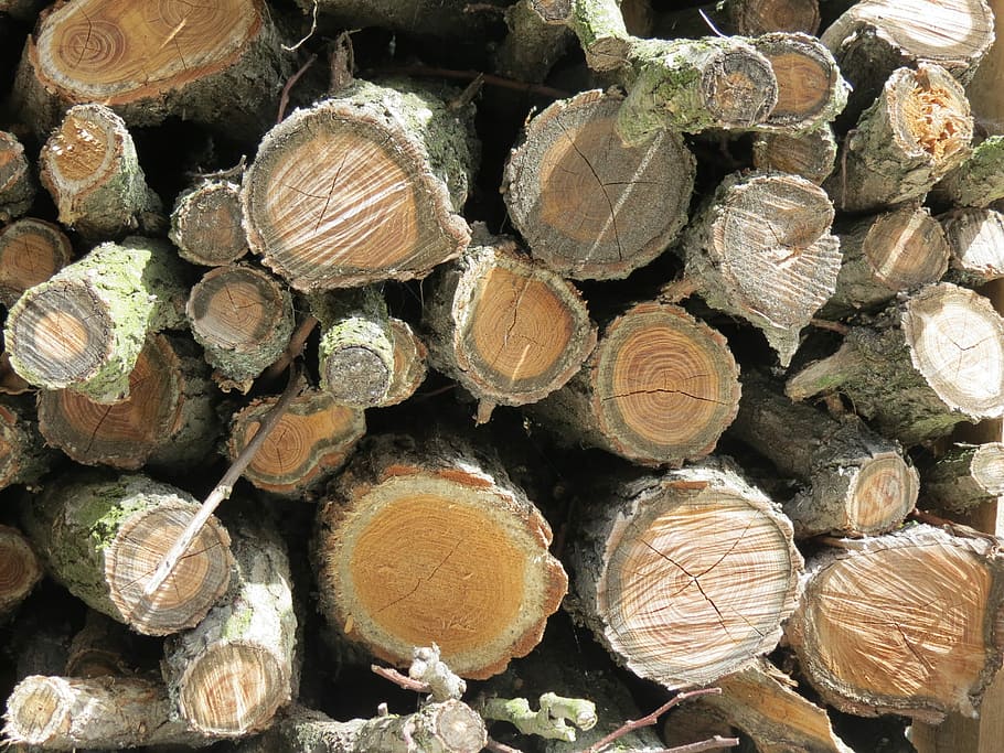 Wood, Nature, Tree, timber, log, stack, woodpile, large group of objects HD wallpaper