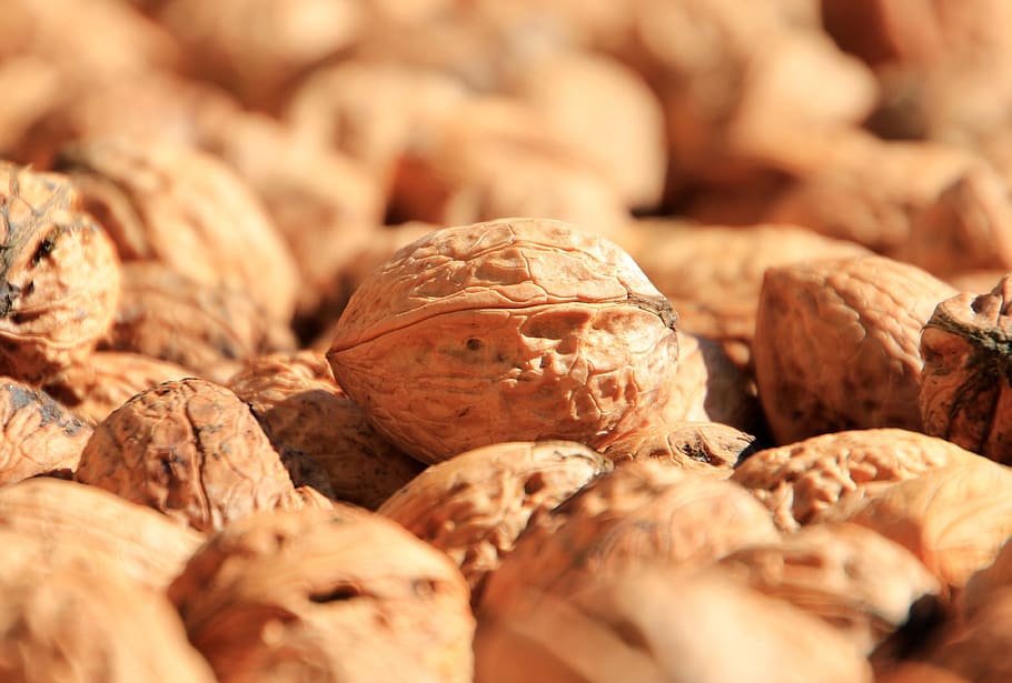 food, walnut, walnuts, tree nut, christmas, nutrition, food and drink HD wallpaper
