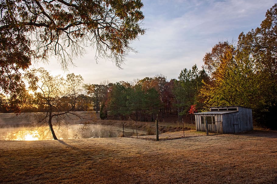 barn, fall, pond, landscape, autumn, country, vintage, rustic HD wallpaper