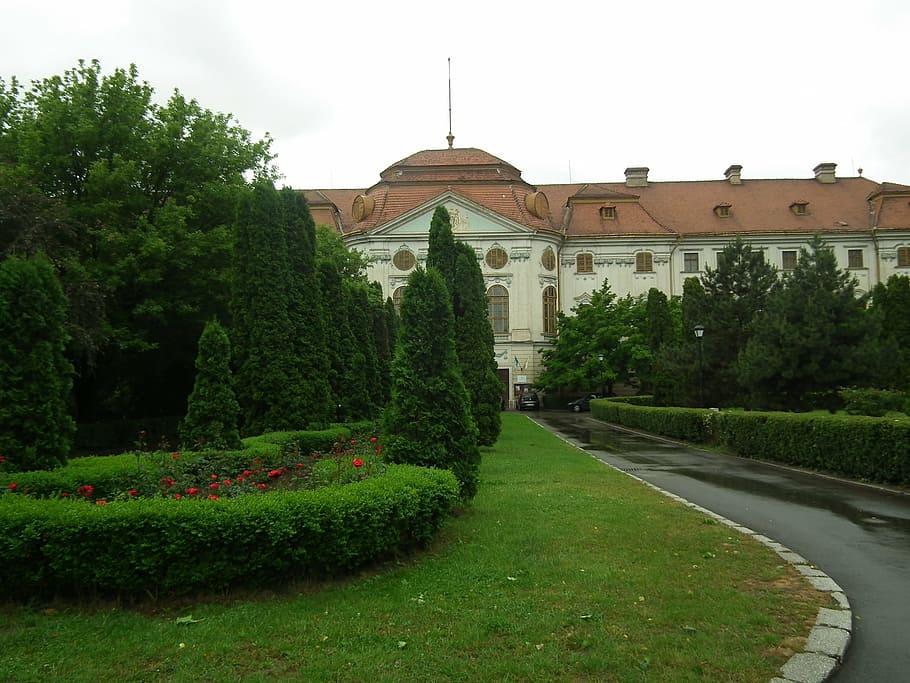 excursion, transylvania, building, architecture, plant, tree HD wallpaper
