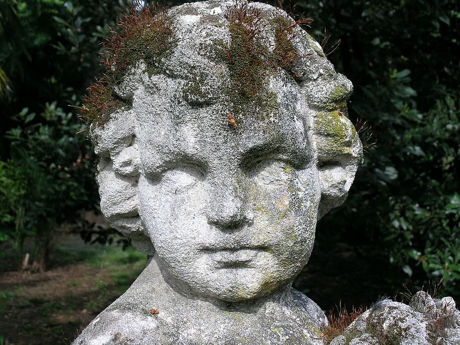 statue, particular, head, angel, sculpture, art and craft, representation HD wallpaper