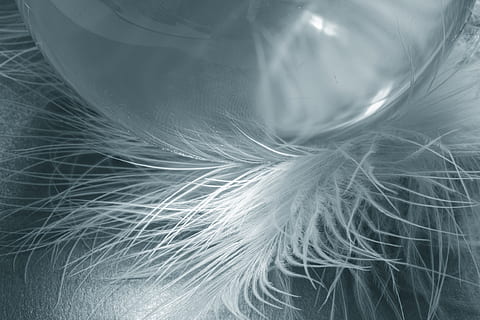 closeup photo of white feathers, glass ball, spring, ease, airy HD wallpaper