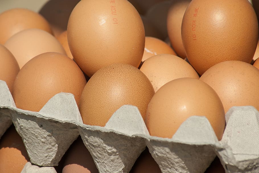 eggs, market, hens, food, food and drink, healthy eating, wellbeing HD wallpaper
