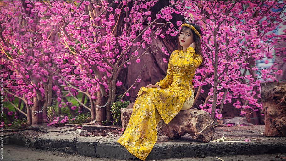 woman in yellow dress posing for photo, girl, female, people, HD wallpaper