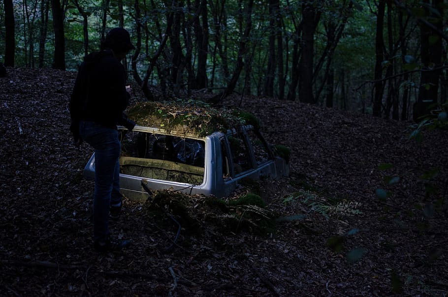 dark, night, woods, forest, car, vehicle, transportation, accident HD wallpaper