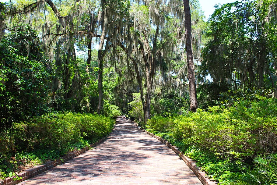 Path, Brick, Trees, Stone, Outdoor, garden, sidewalk, walkway HD wallpaper