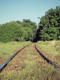 track, path, train, trees, heaven, nature, green, landscape HD wallpaper