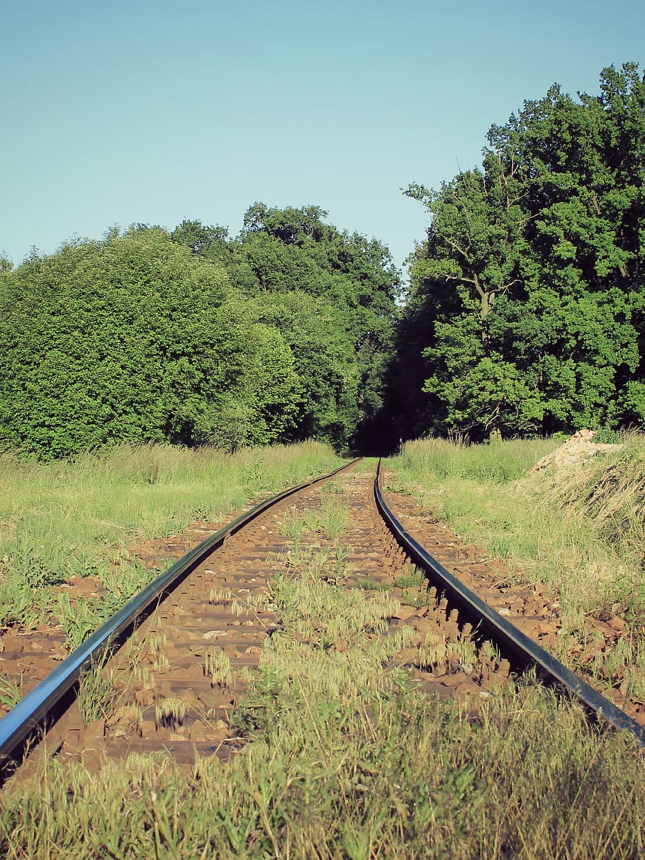 track, path, train, trees, heaven, nature, green, landscape HD wallpaper