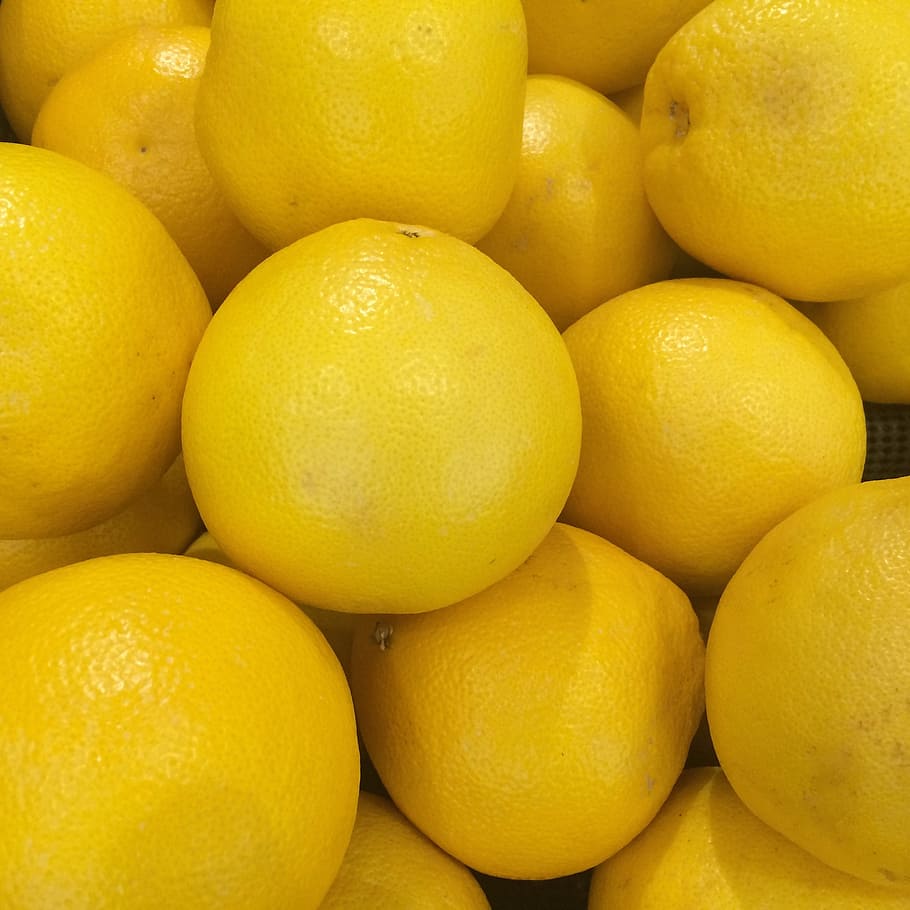 grapefruit, import, california, yellow, seiyu ltd, living, supermarket HD wallpaper