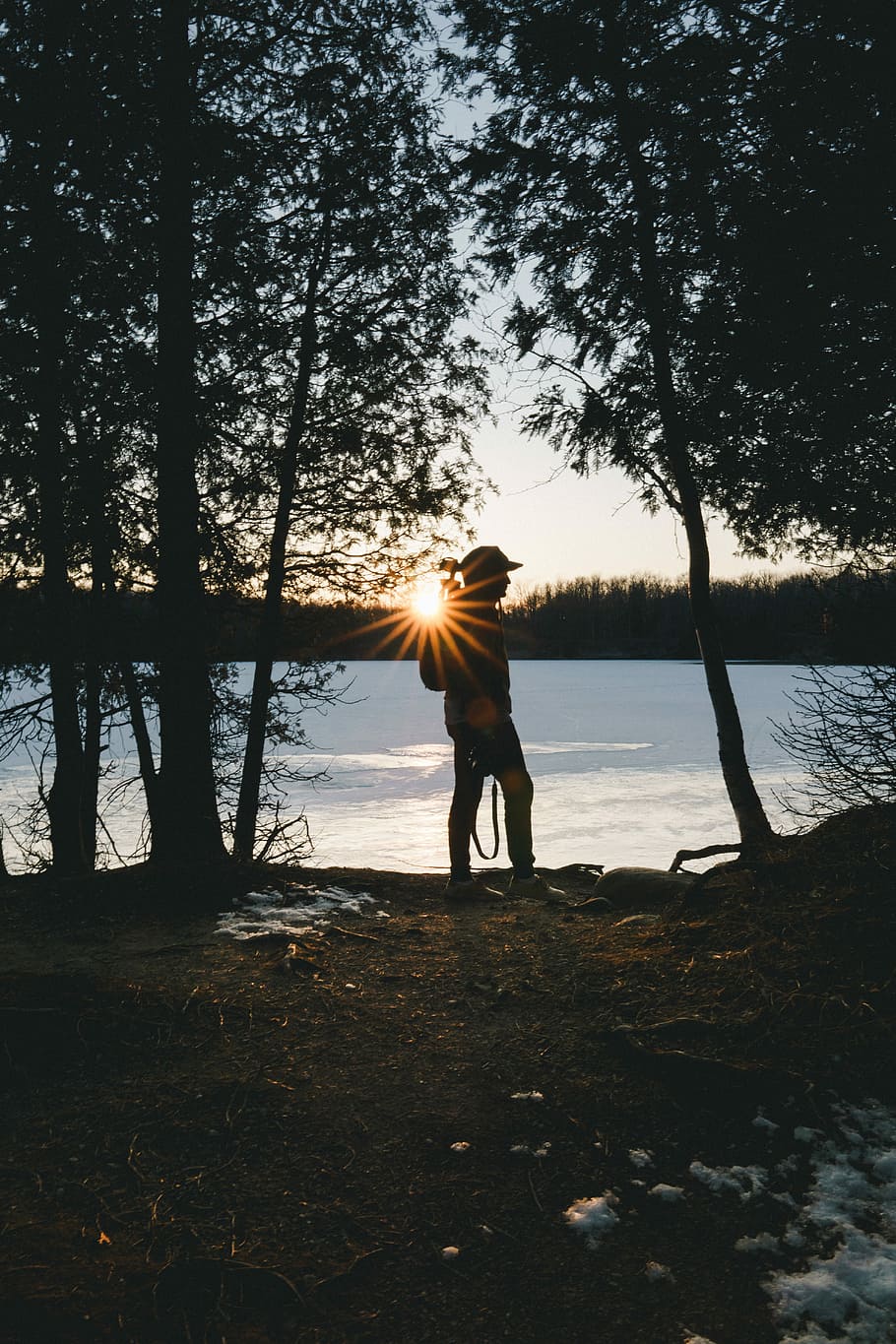 silhouette of person standing near trees during golden hour, silhouette of man walking near the tree during daytime HD wallpaper