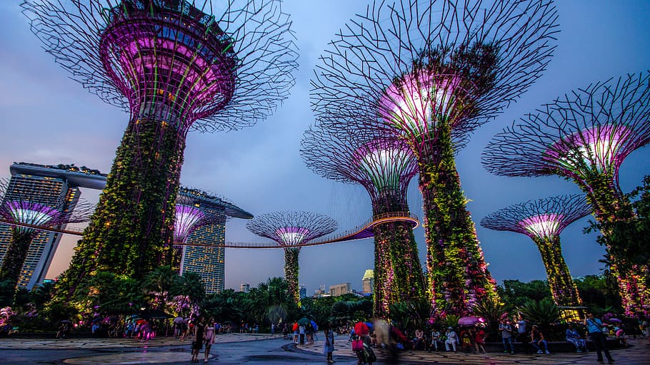 garden by the bay, singapore, night, lighting, landmark, supertree, HD wallpaper