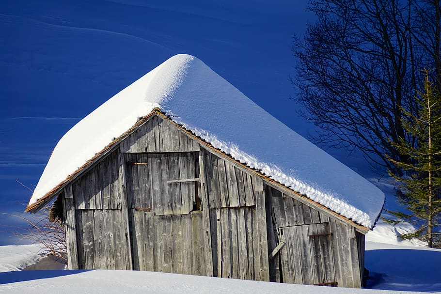 winter, barn, snow, scale, wood, log cabin, nature, rural, old, HD wallpaper