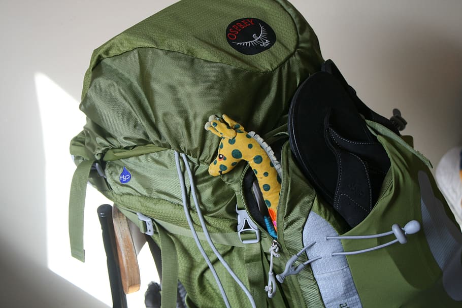photo of green trek backpack, travel, giraffe, backpacker, traveler HD wallpaper