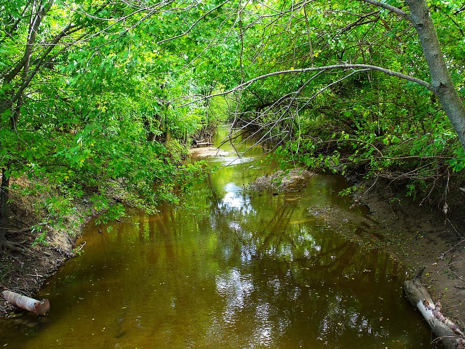 Stream, River, Trees, Summer, green, water, reflection, nature HD wallpaper