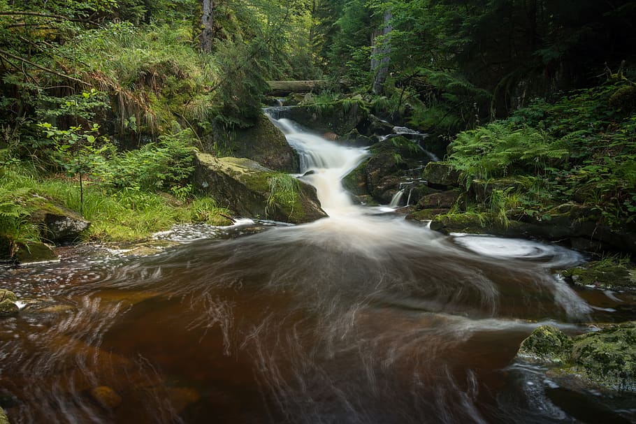 waterfall, long exposure, bach, forest, nature, landscape, water veil HD wallpaper