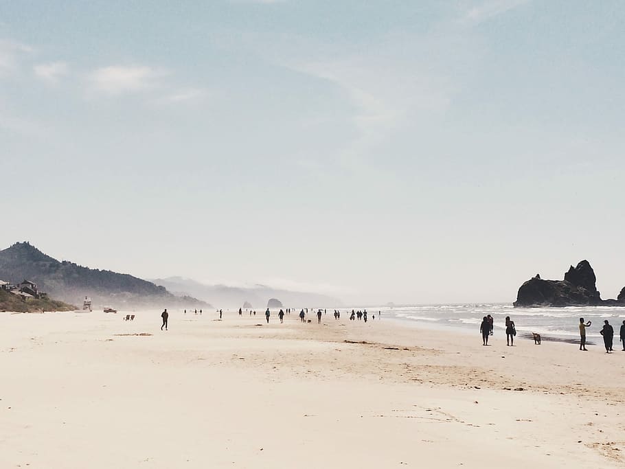 people on seashore during daytime, nature, outdoors, snow, landscape HD wallpaper