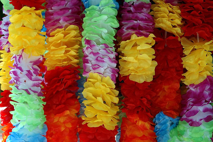 hawaiian lei, floral, vibrant colors, colorful, flower, blossom