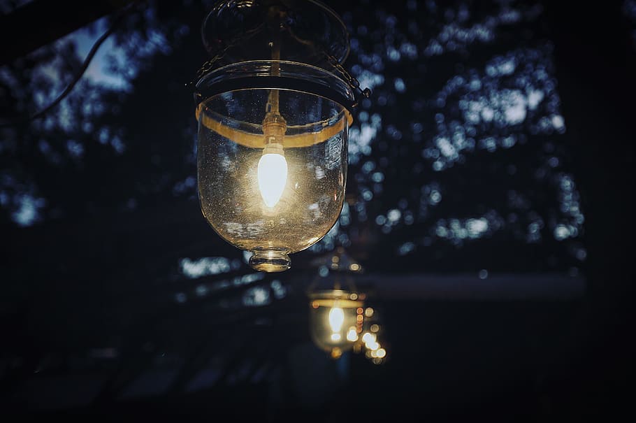 selective focus photography of lighted clear glass lamp on tree, shallow focus photo of clear lights HD wallpaper