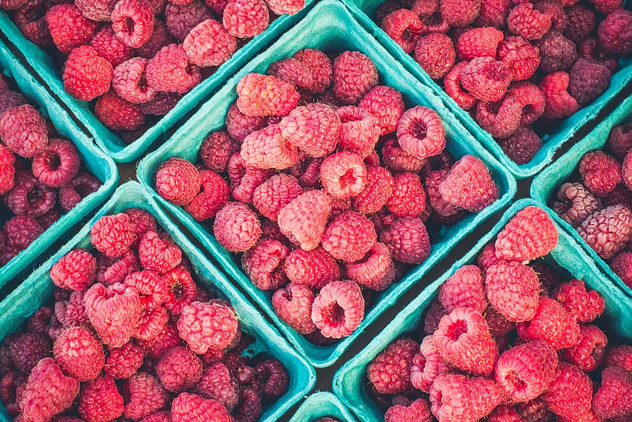 raspberries in teal container, raspberry, red, fruit, food HD wallpaper