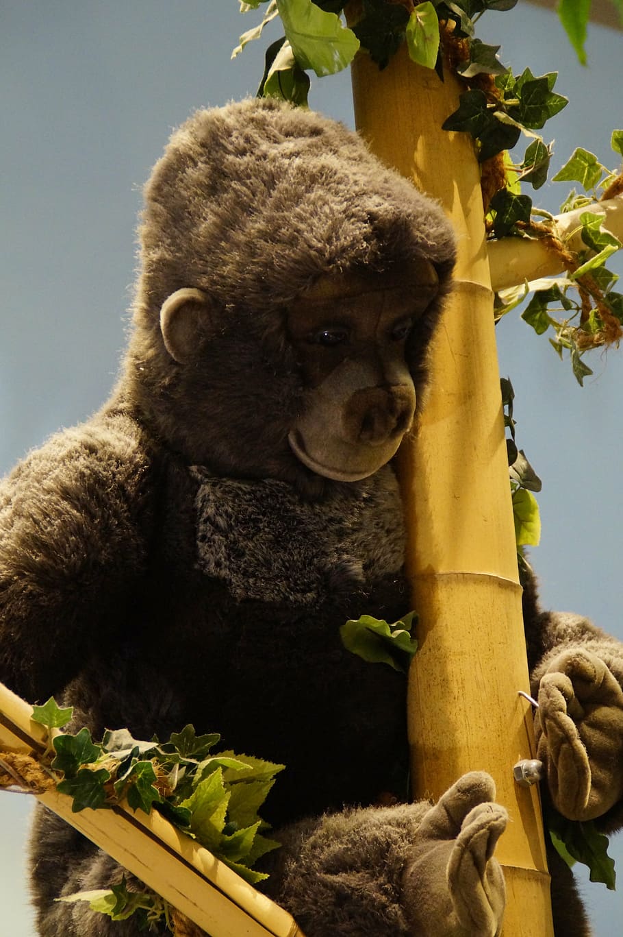 gorilla, monkey, decoration, animal, toys, child, soft toy HD wallpaper