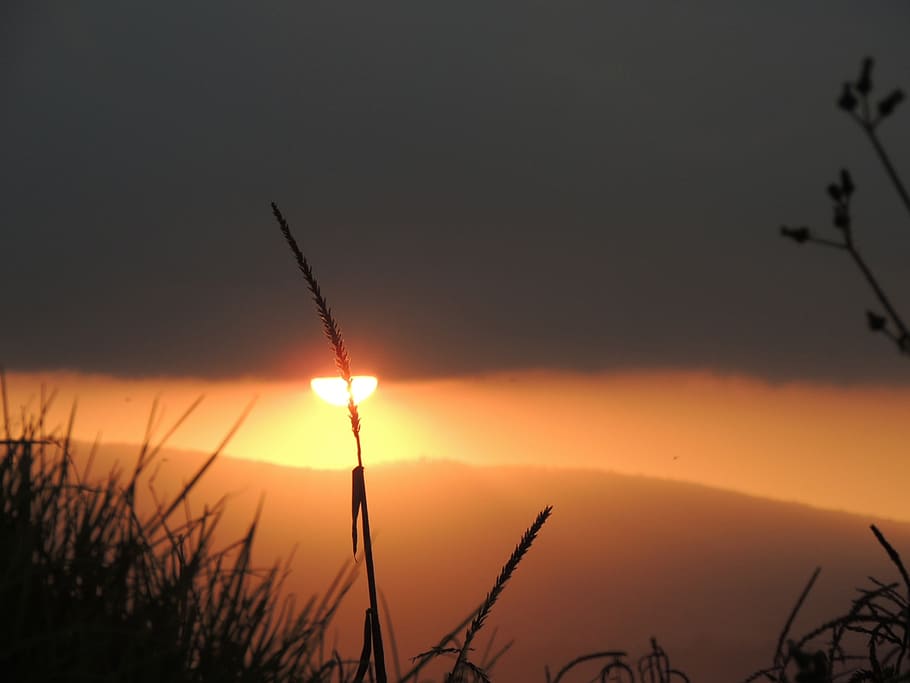 sunset, dusk, orange, sky, nature, sunlight, dawn, cloud, beauty in nature HD wallpaper