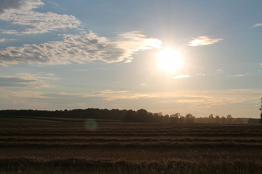 thanksgiving, fall, fields, sunshine, country, landscape, trees HD wallpaper