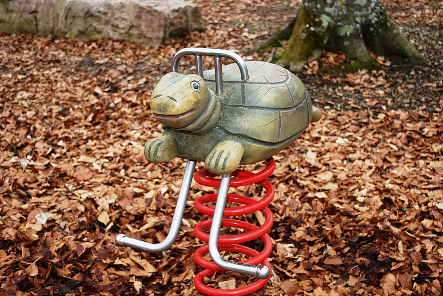turtle, playground, reptile, ride, amusement, children, fun HD wallpaper