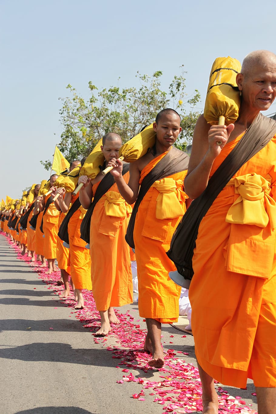 buddhists, monks, buddhism, walk, orange, robes, thai, wat HD wallpaper