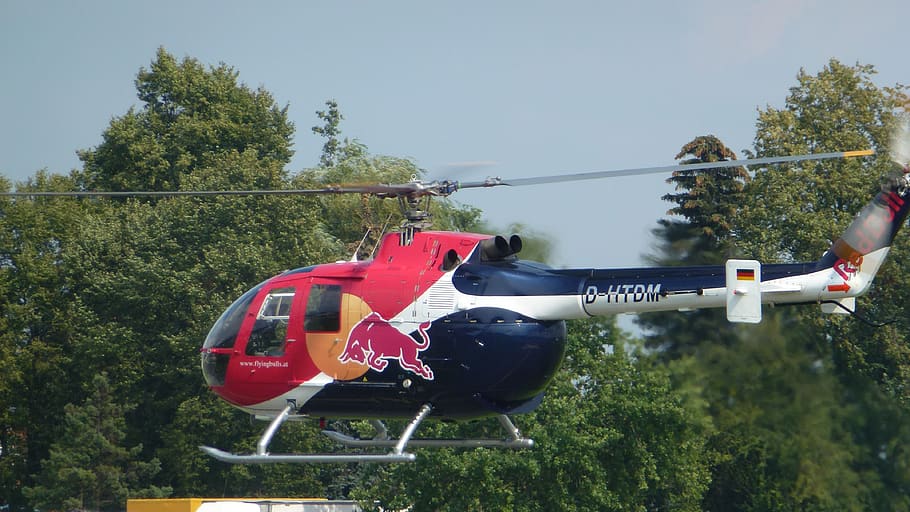 helicopter, start, propeller, sky, fly, pilot, tree, plant HD wallpaper