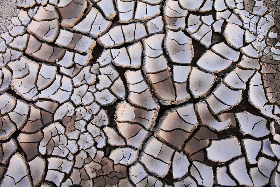 close up photo of cracked brown soil, background, clay, drought, HD wallpaper