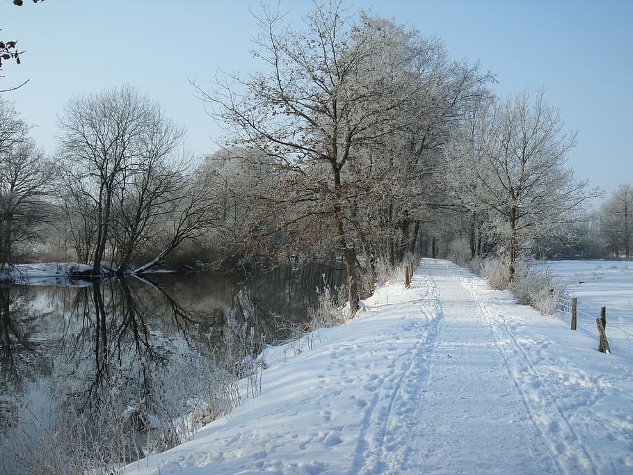 trail, river, wintry, trees, snow, cold, winter, nature, cold - Temperature HD wallpaper